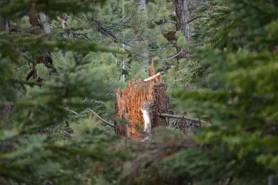 DSC_3034 (Large).JPG